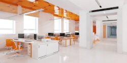 color scheme office design
